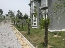 一楼,精装修,带地下室,拎包入住