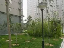 南向小标间,中等装修,诚心出售