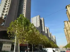 一楼,精装修,带地下室,拎包入住