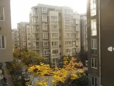 新希望澳园 3室1厅 南 北