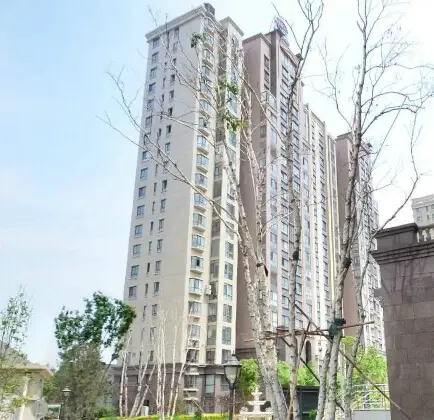 实景图