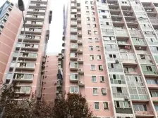 大鼎城市花园 2室1厅 东南