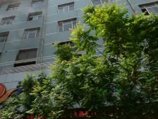 金塔巷 19 三室一厅采光视野无遮挡有小区能停车