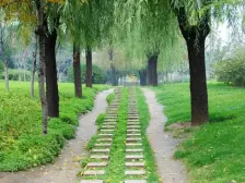 2012年次新双气小区出售,全明户型,采光好。