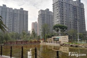 小高层中间楼层,满五唯一房东自住装修丰源国际