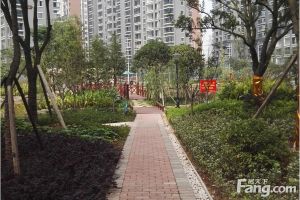 丰源国际3室1厅南北