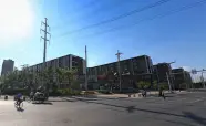荣信森林里