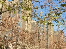 惠济区洋房复式客厅挑高 一二楼复式精装修 双气