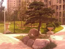 锦艺商圈客厅朝南带阳台精装大两房中低楼层采光无遮挡