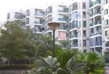 滨海嘉年华I区 1室1厅 南