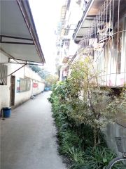 玉林下横巷6号2室1厅南
