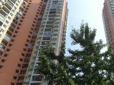 毛线沟 上方锦橙湾二房66万