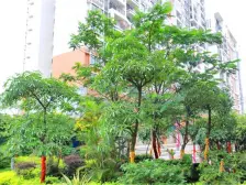 誉憬湾 全新精装三房 保养新净 中高层