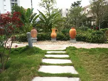 大型小区 户型靓 采光好 楼层靓 视野好