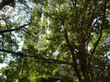 盘旋路 渭源路 科中 框架 采光好 西南 近地铁