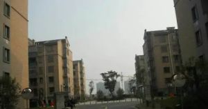 九龙家苑 停车免费 看房方便 采光好