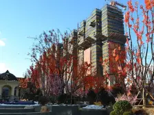 精装修三室采光充足拎包入住交通便利