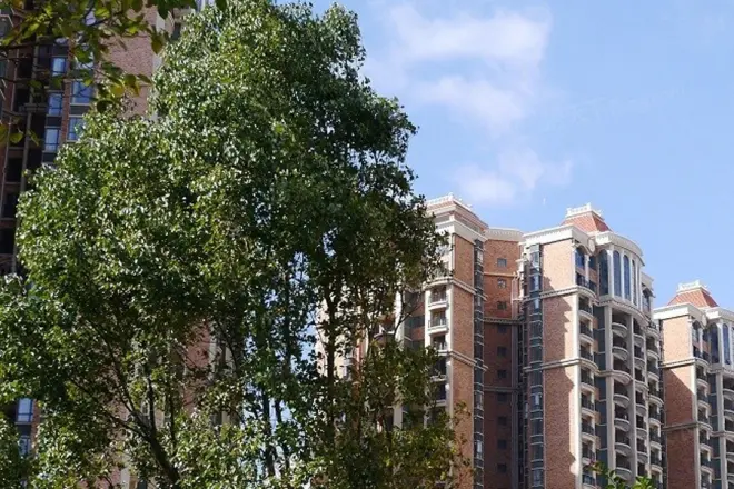 莱茵水岸别墅实景图