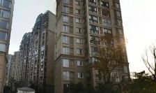 橙郡三期 2室1厅 东南