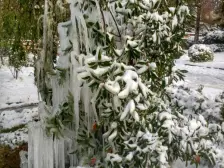 悦湖会 4室2厅 南 北