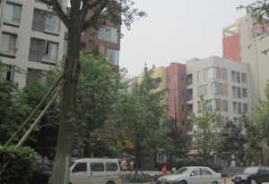 万科魅力之城一期3室1厅东北