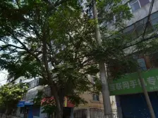 陈官营地铁口经典两居室总价低业主诚心出售