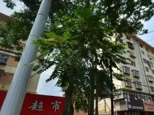 天鹅湖 低楼层小户型两居室 化一陪读两不误 价位可议