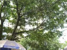 白马凼公交站旁 精装小户型 业主诚心出售