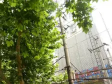 摩尔国际 1室1厅 北