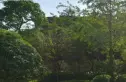 铂金时代实景图