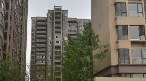 警馨苑4室2厅南北