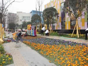 神仙树缤纷2室2厅西