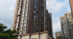 神仙树缤纷2室1厅南