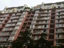 免个税,来电砍10颗