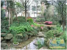 鸳鸯 龙湖蓝湖郡东岸五房