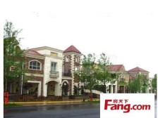 鸳鸯 龙湖蓝湖郡东岸四房633万