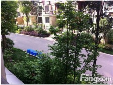 龙湖蓝湖郡东岸 清水中户 安心出售