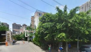 居家福地2室1厅南