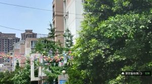居家福地2室1厅西