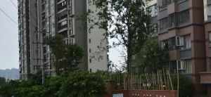 朗诗绿色街区3室2厅东南