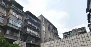 泡桐树街1号 3室1厅 北