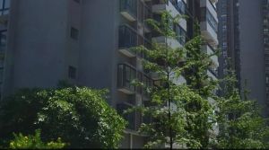 交大万嘉樟菊园 3室2厅 东南