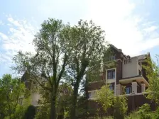 万科西山别墅一期位置 南北园 车库入户位置好