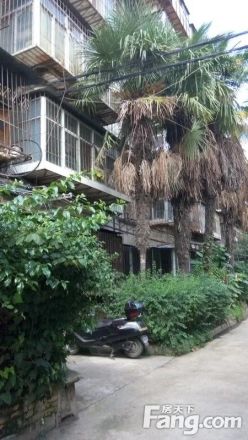 理工大学新迎校区职工宿舍实景图