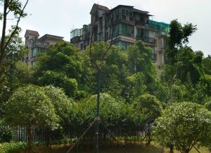 静园山庄4室2厅西南