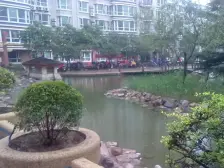 急售双气农科路47金成国际广场可贷款