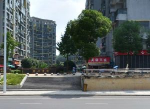 望兴景园3室1厅南北