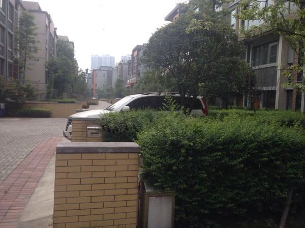 小区相关图