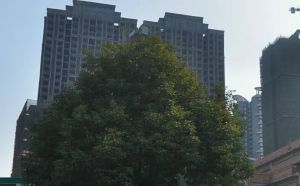 合能锦城3室1厅东南