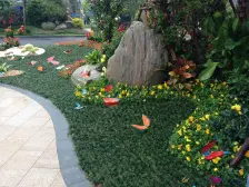 南向3房 2次装修 全屋定制 看房方便